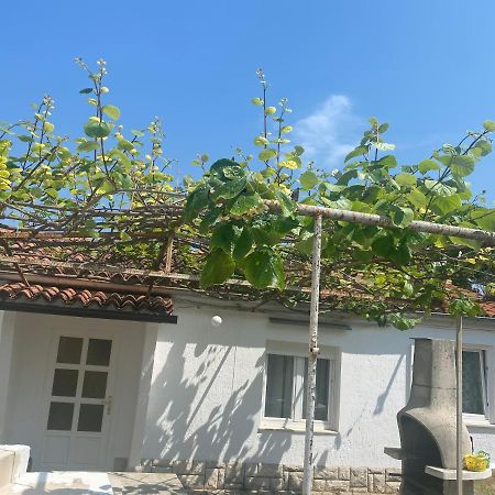 Apartman Nela Apartment Porec Luaran gambar